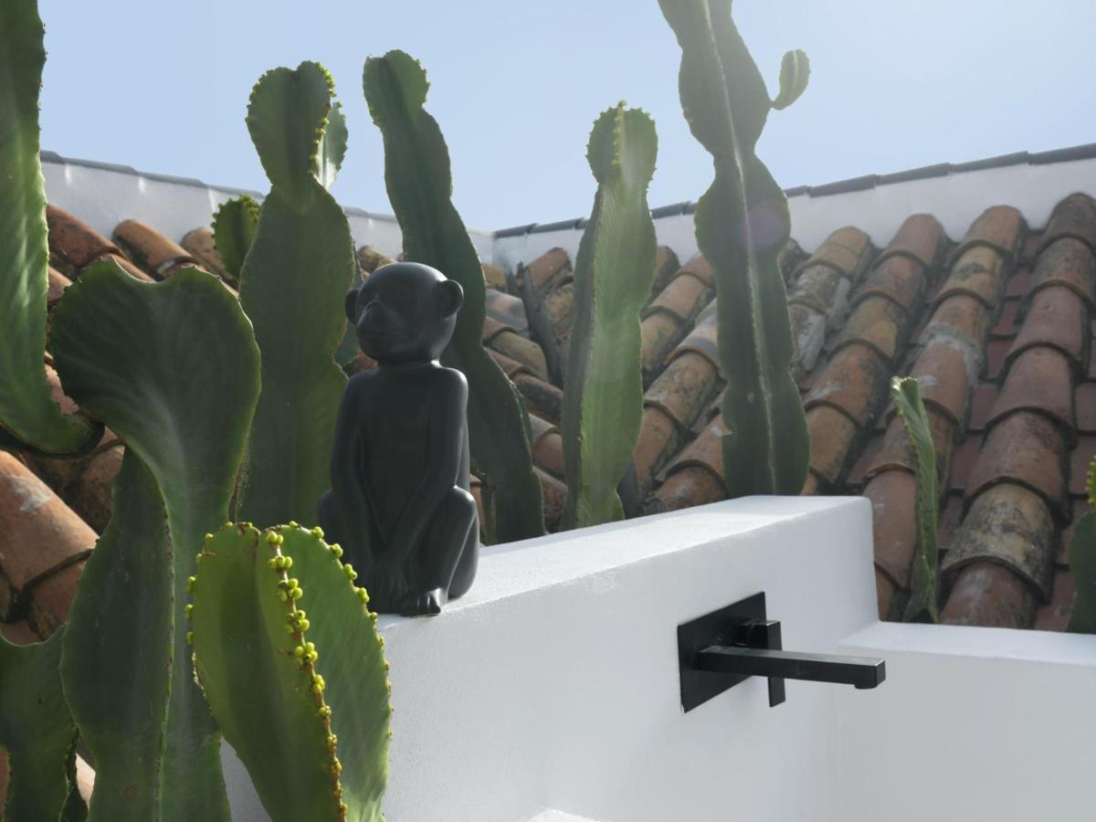 Old City Center Penthouse Malaga Ngoại thất bức ảnh